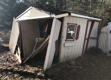 Old Shed Removal